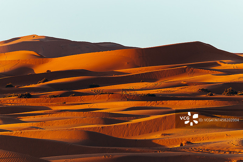 撒哈拉沙漠日出时的沙丘图片素材