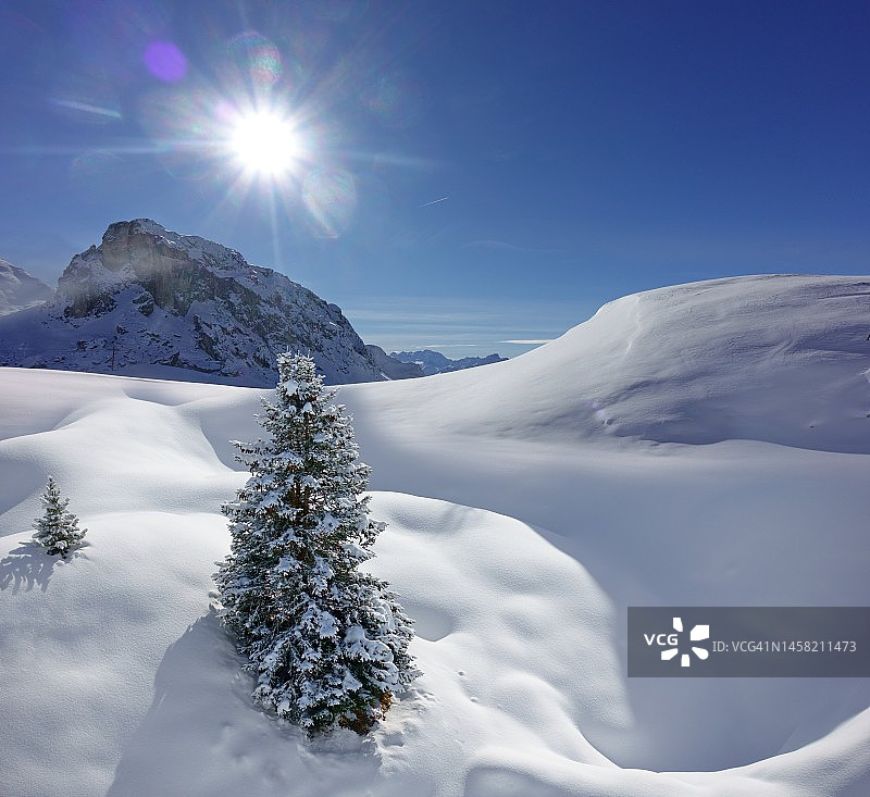 法国阿尔卑斯山的雪景图片素材