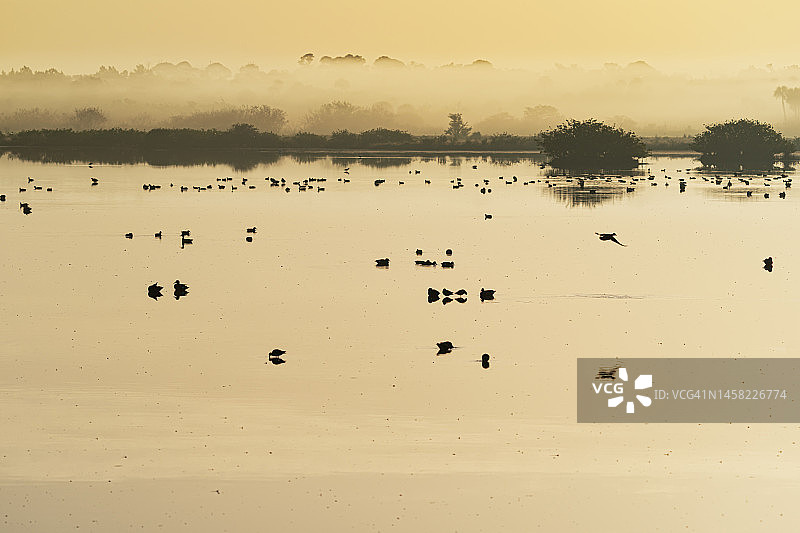 梅里特岛的宁静清晨图片素材