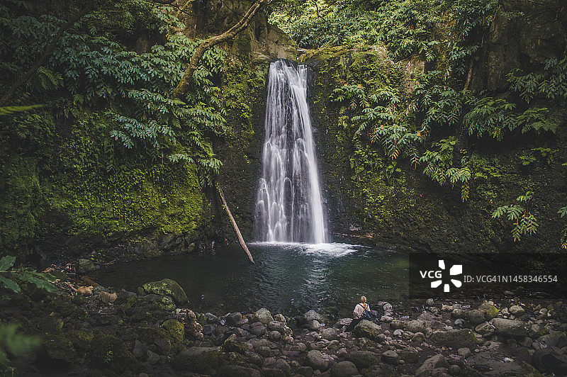 茂密环境中的瀑布图片素材