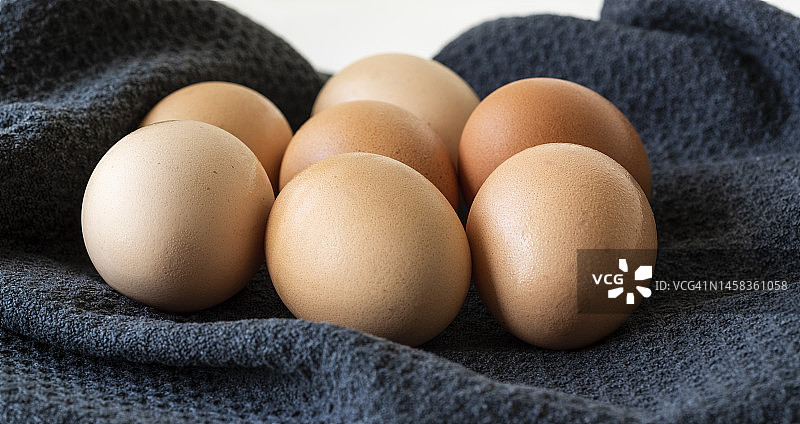 鸡蛋图片素材