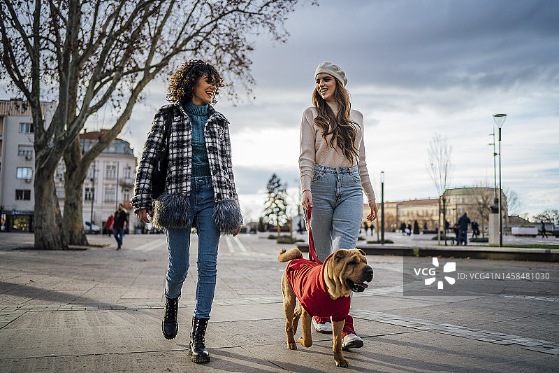 一起遛狗的女士们图片素材