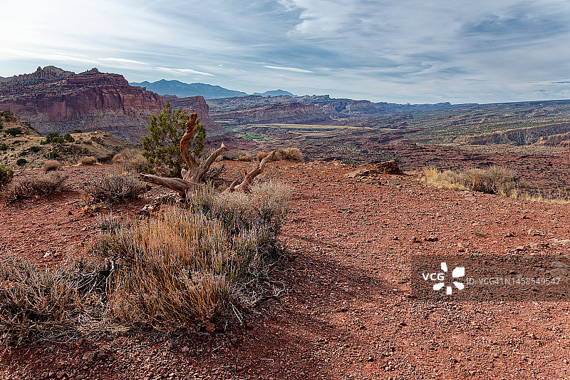 我的手，我虔诚的手图片素材