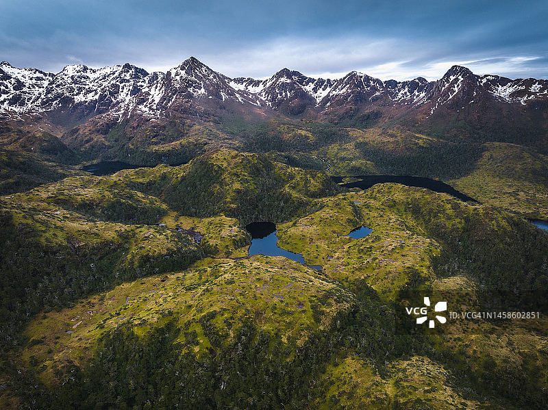 合恩角的温带雨林图片素材