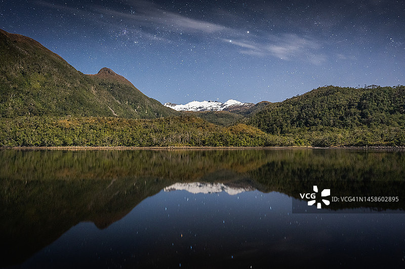 合恩角的温带雨林图片素材