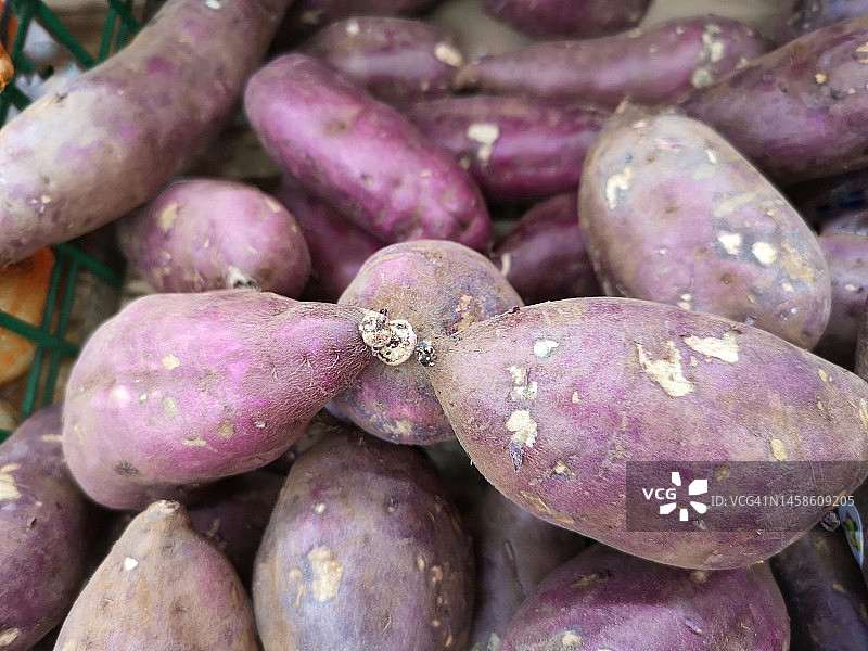 紫色甘薯图片素材