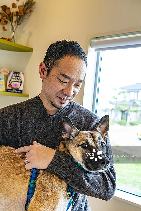 兽医抱着一条护卫犬图片素材