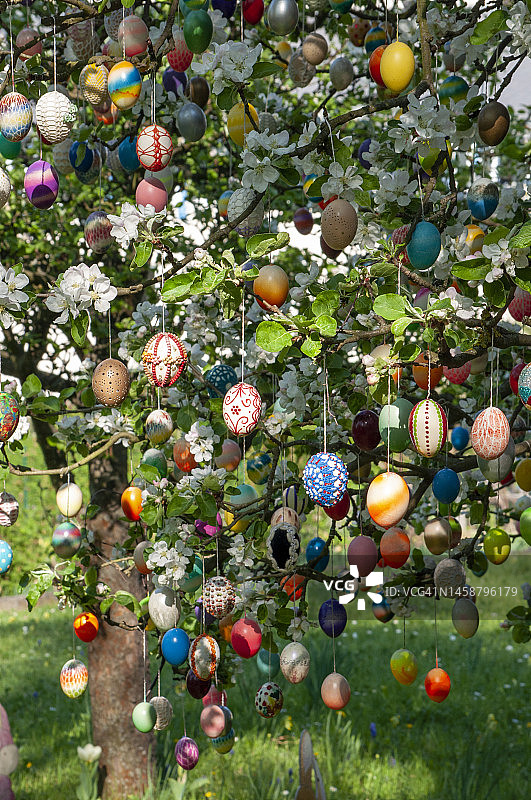 苹果树上的彩色手工复活节彩蛋——复活节彩蛋树图片素材