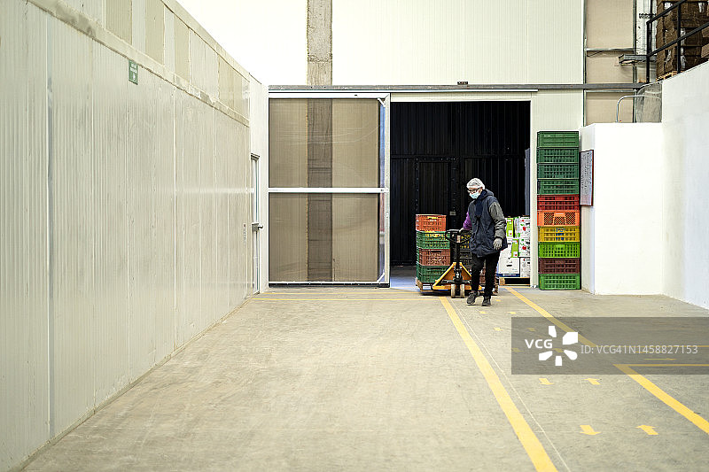 有机食品厂工人用托盘车搬运水果箱图片素材