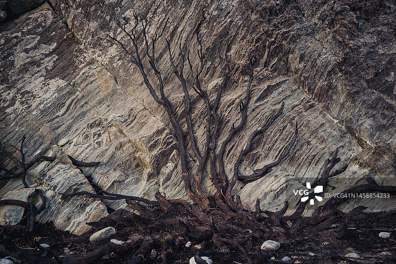 塔金海岸图片素材