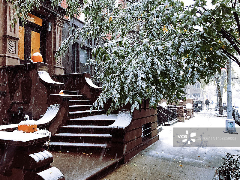 秋季暴风雪期间，纽约市上西区褐砂石门廊上覆盖着积雪的南瓜图片素材