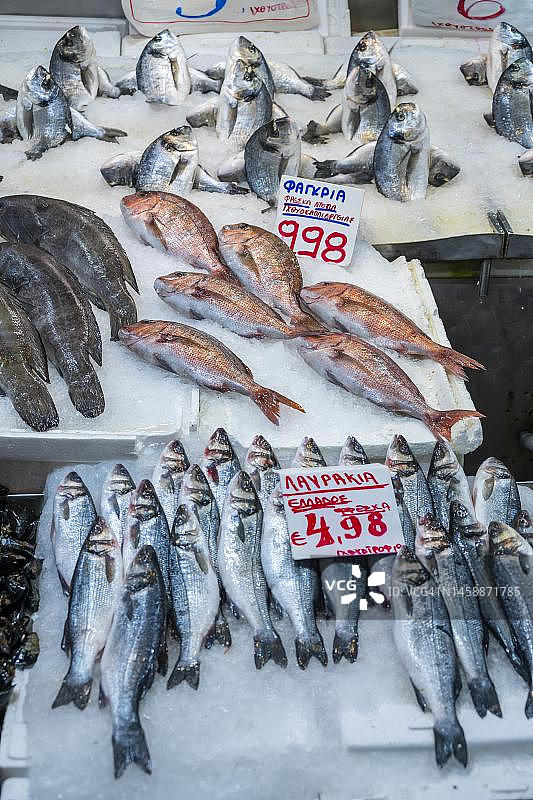 雅典中央市场鱼摊上的生鱼图片素材