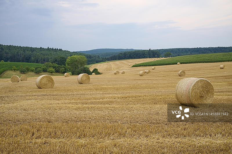 德国巴伐利亚Grossheubach的干草田和稻草捆景观图片素材