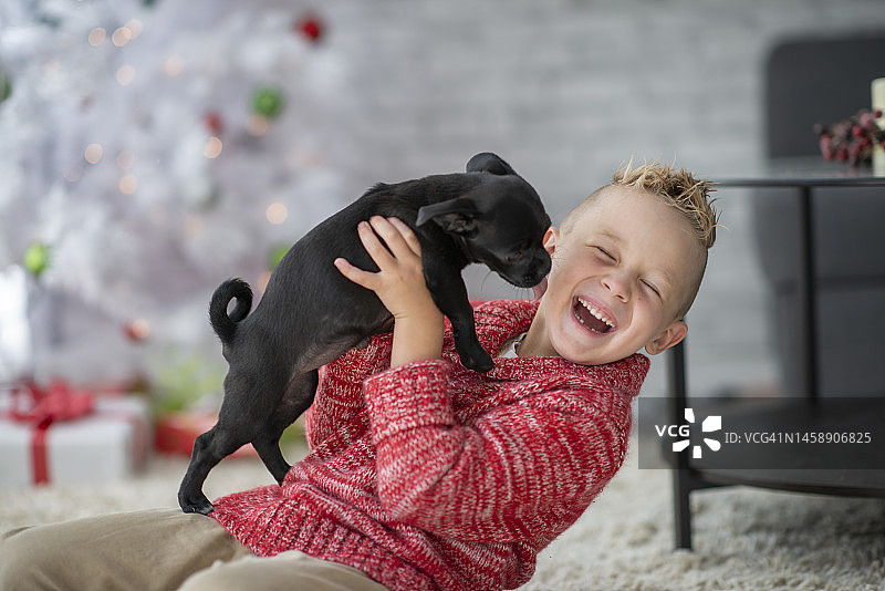 圣诞小狗亲亲图片素材