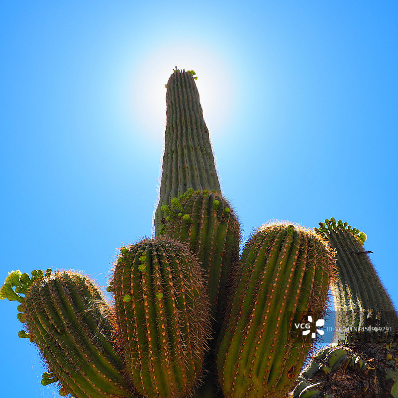 志在冲天图片素材