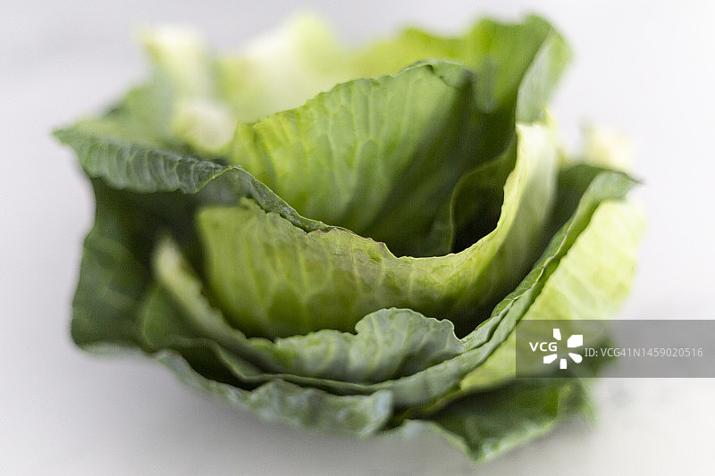 白菜叶图片素材