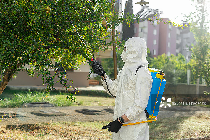 男人在后院进行虫害防治图片素材