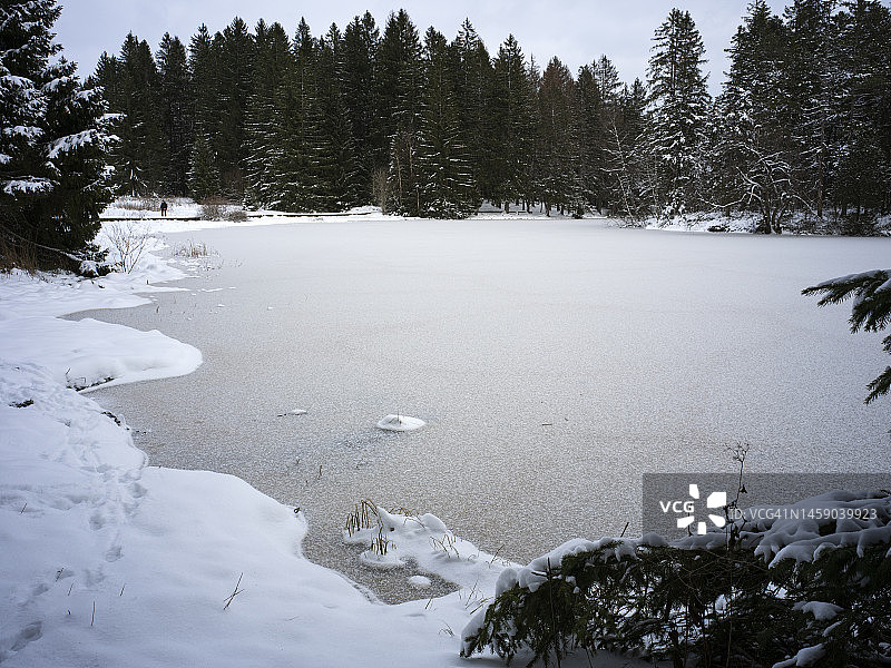 格鲁耶尔湖和被冰雪覆盖的树木图片素材