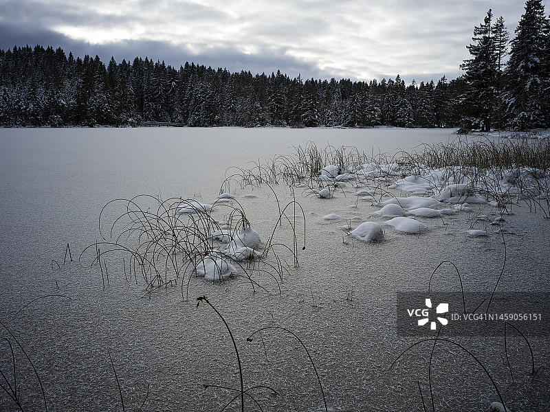 格鲁耶尔湖和树木及积雪植物图片素材