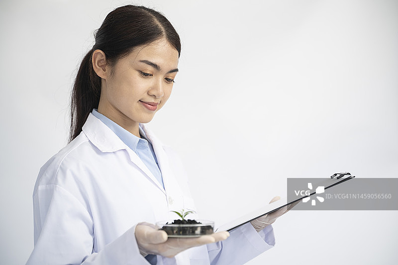 女人在实验室查看绿卡结果图片素材