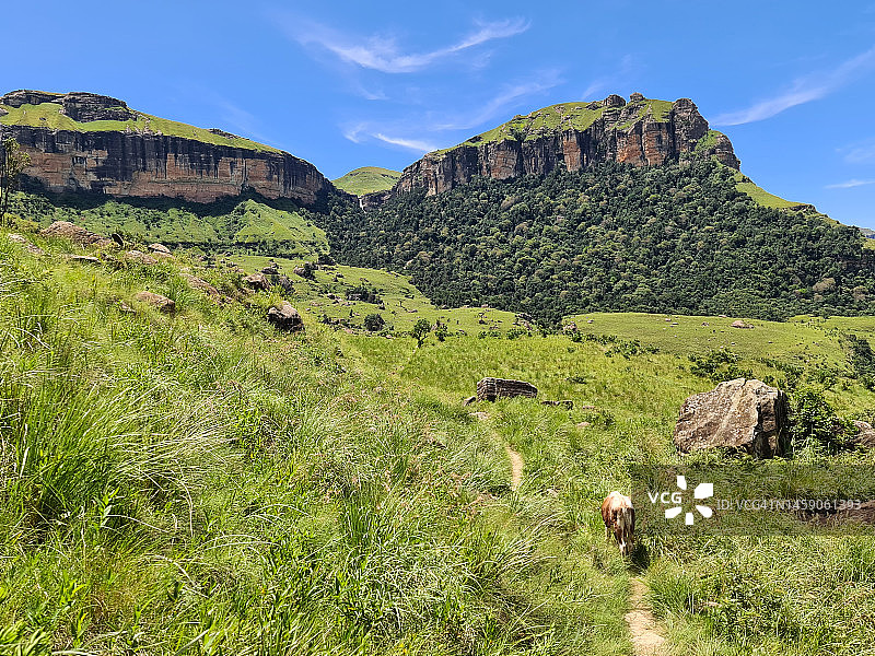 德拉肯斯堡山脉209图片素材
