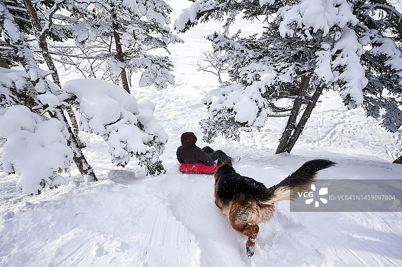 年轻人和一只狗从山上滚下来图片素材