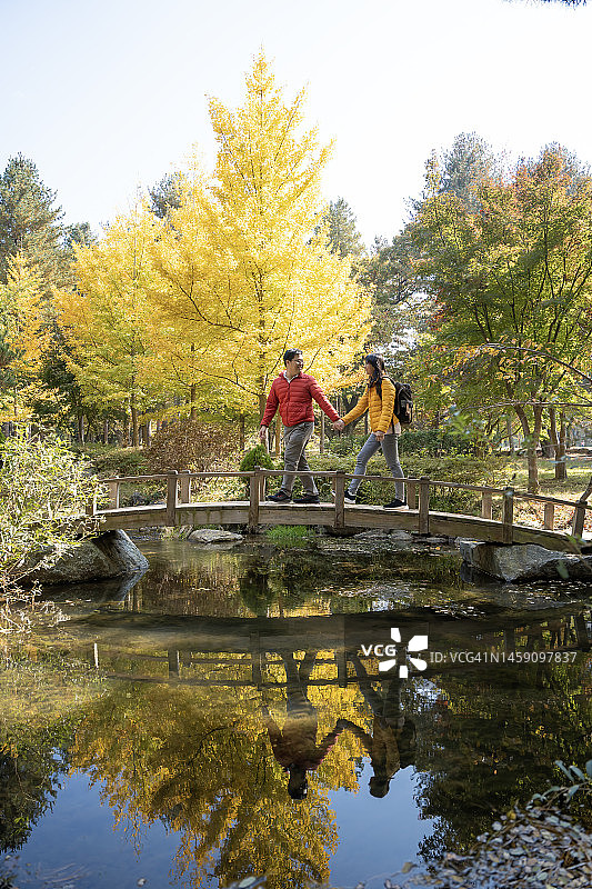 情侣在南怡岛牵手旅行，浪漫休闲图片素材