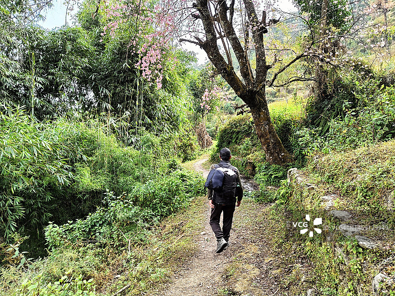 男子在尼泊尔山谷的乡村景观中徒步旅行图片素材