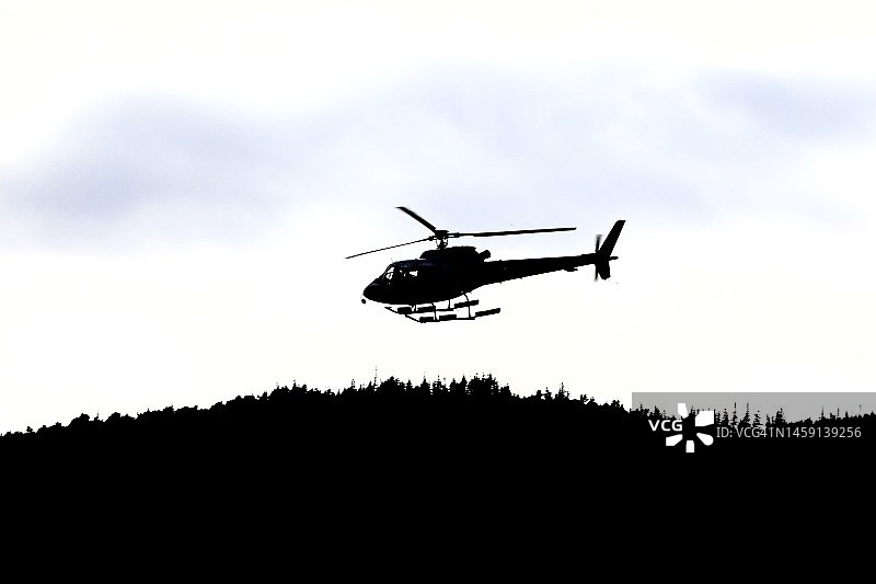 树梢上的直升机剪影图片素材