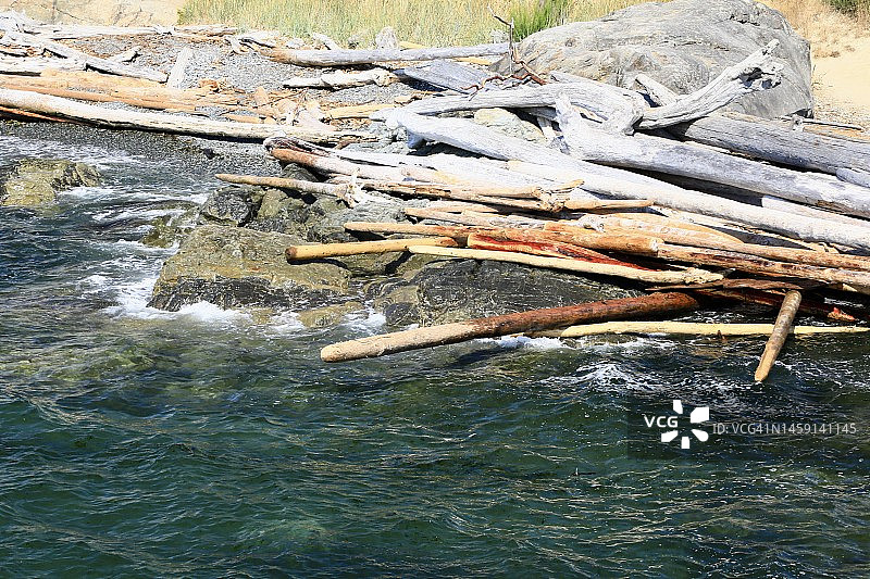 冲到岸边的浮木图片素材