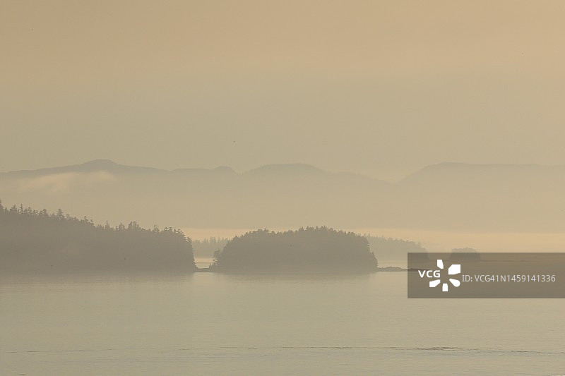 太平洋沿岸的晨雾图片素材