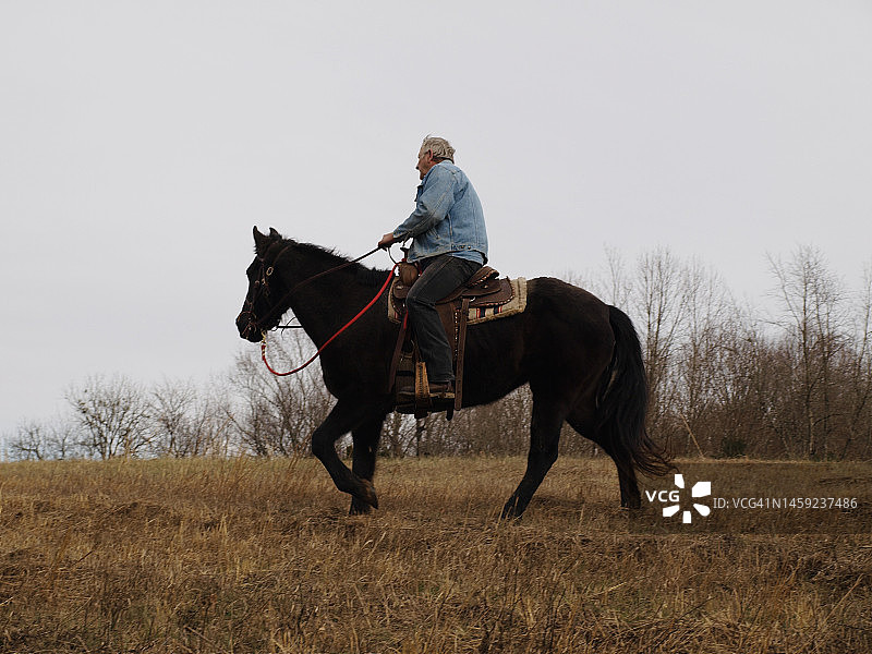 冬季骑着黑马的成熟男性成年人图片素材