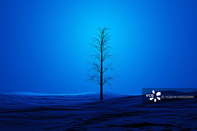 蓝色干旱景观上光秃秃的孤独的树图片素材