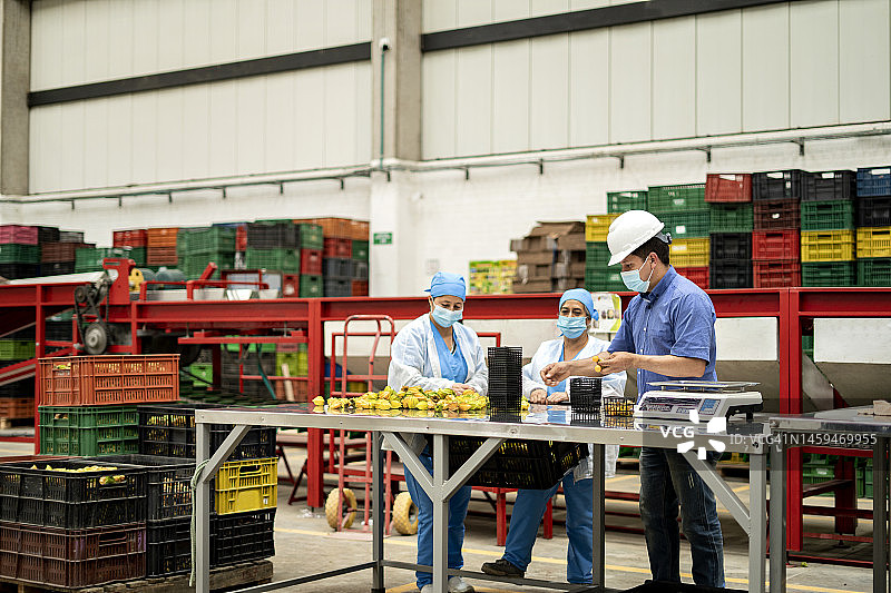 质量控制检验员与有机食品生产工厂的员工一起检查水果图片素材