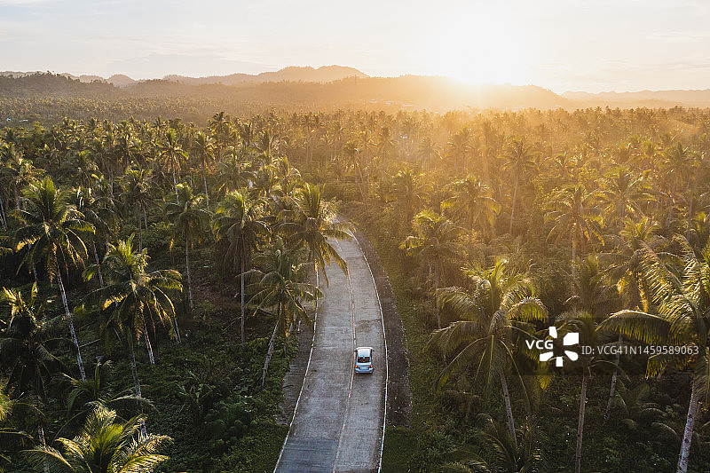 在棕榈树间道路上行驶的汽车图片素材