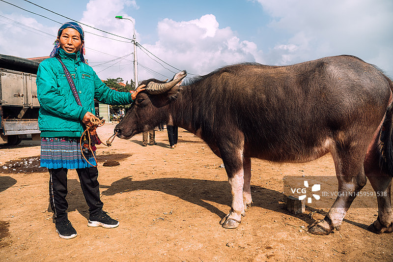 在市场上卖水牛的越南女人图片素材