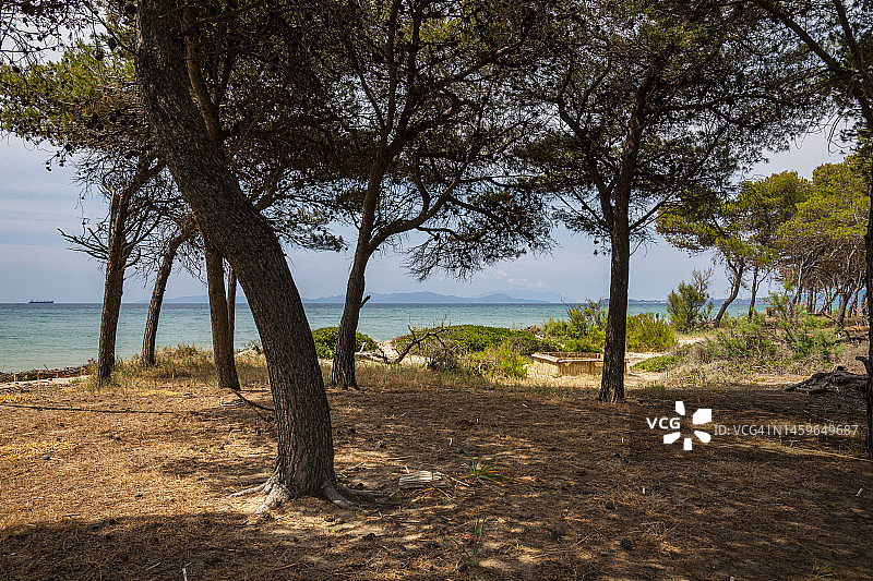 皮翁比诺的拉斯特帕亚图片素材