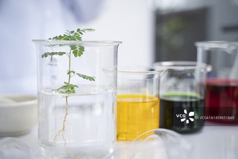 实验室中的生物技术图片素材