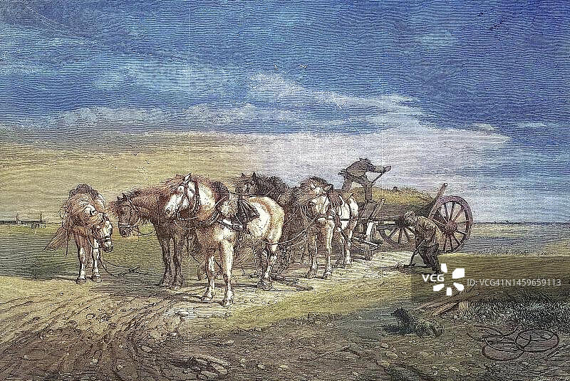 法国 Les Greves 海滩装沙工人（19世纪修复画作）图片素材