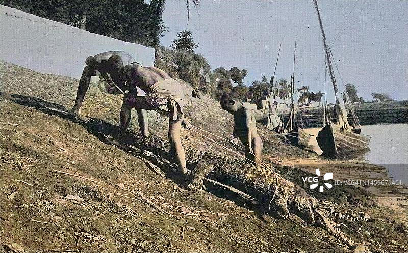 埃及鳄鱼狩猎，历史画作，19世纪原版数字复制品，原始日期未知图片素材