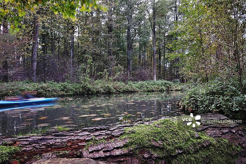 秋季施普雷瓦尔德的独木舟之旅，勃兰登堡，德国图片素材