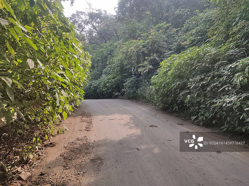 空旷狭窄的道路，阳光和绿色图片素材