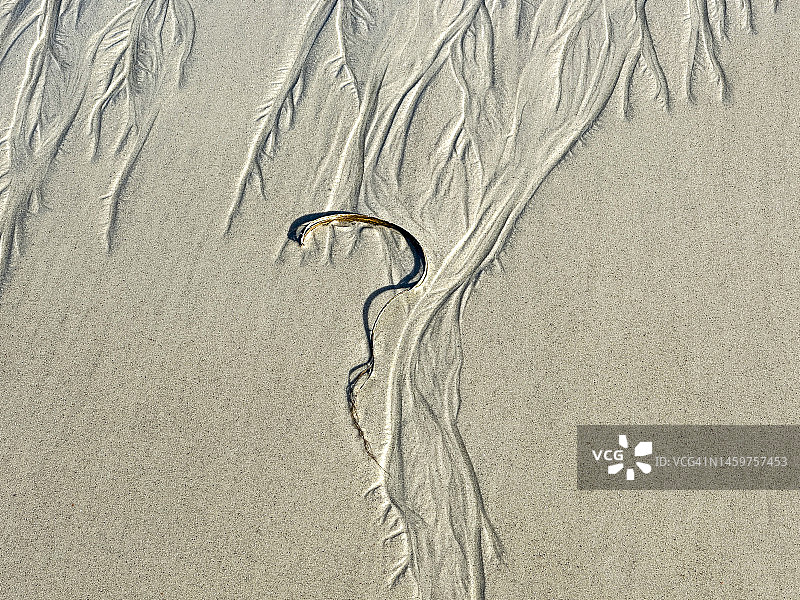 海滩芦苇问号图片素材