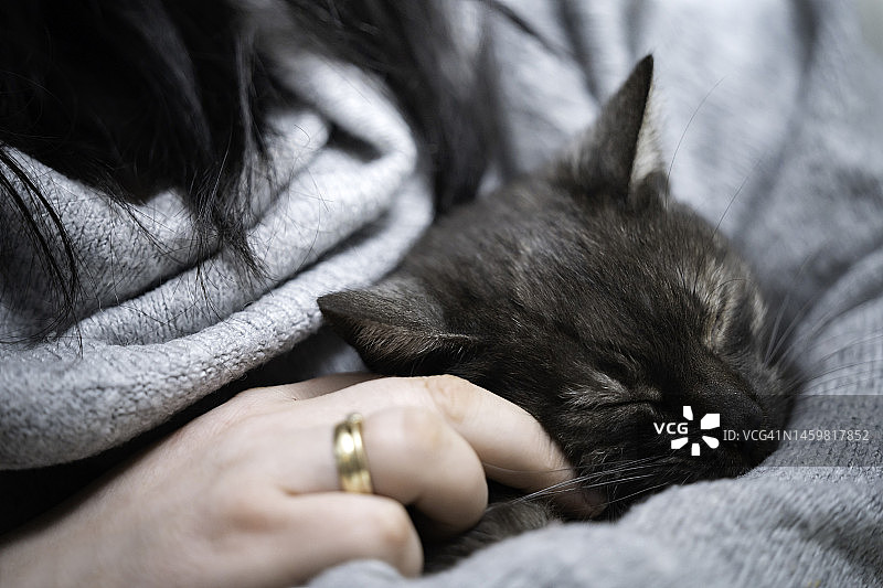 依偎在主人怀里的睡猫图片素材