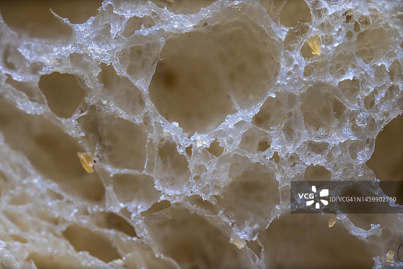 面包的超级微距细节图图片素材