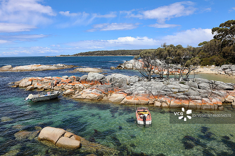 塔斯马尼亚图片素材