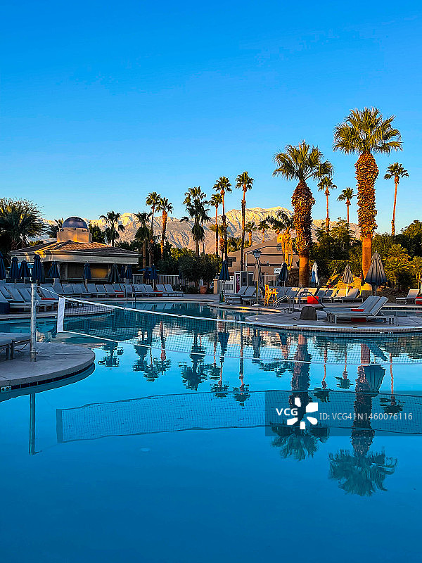 棕榈泉游泳池中的棕榈树倒影图片素材