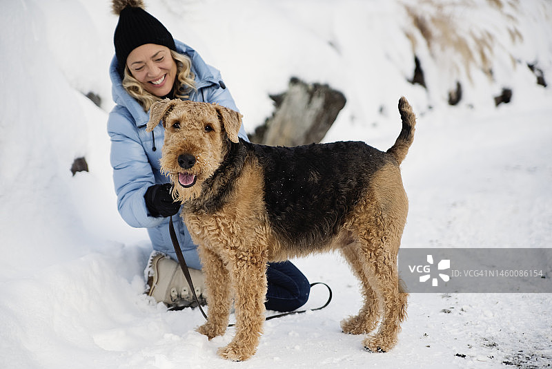 准备在雪地里遛狗的中年妇女图片素材