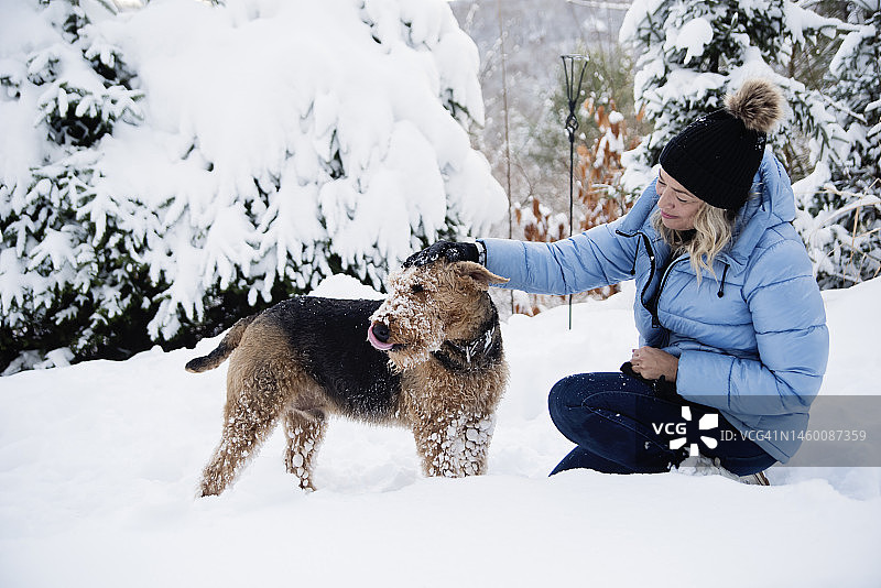 在冬日雪地里和她的狗玩耍的中年妇女图片素材