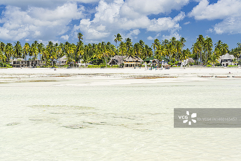 桑给巴尔棕榈树海滩上的旅游度假村图片素材